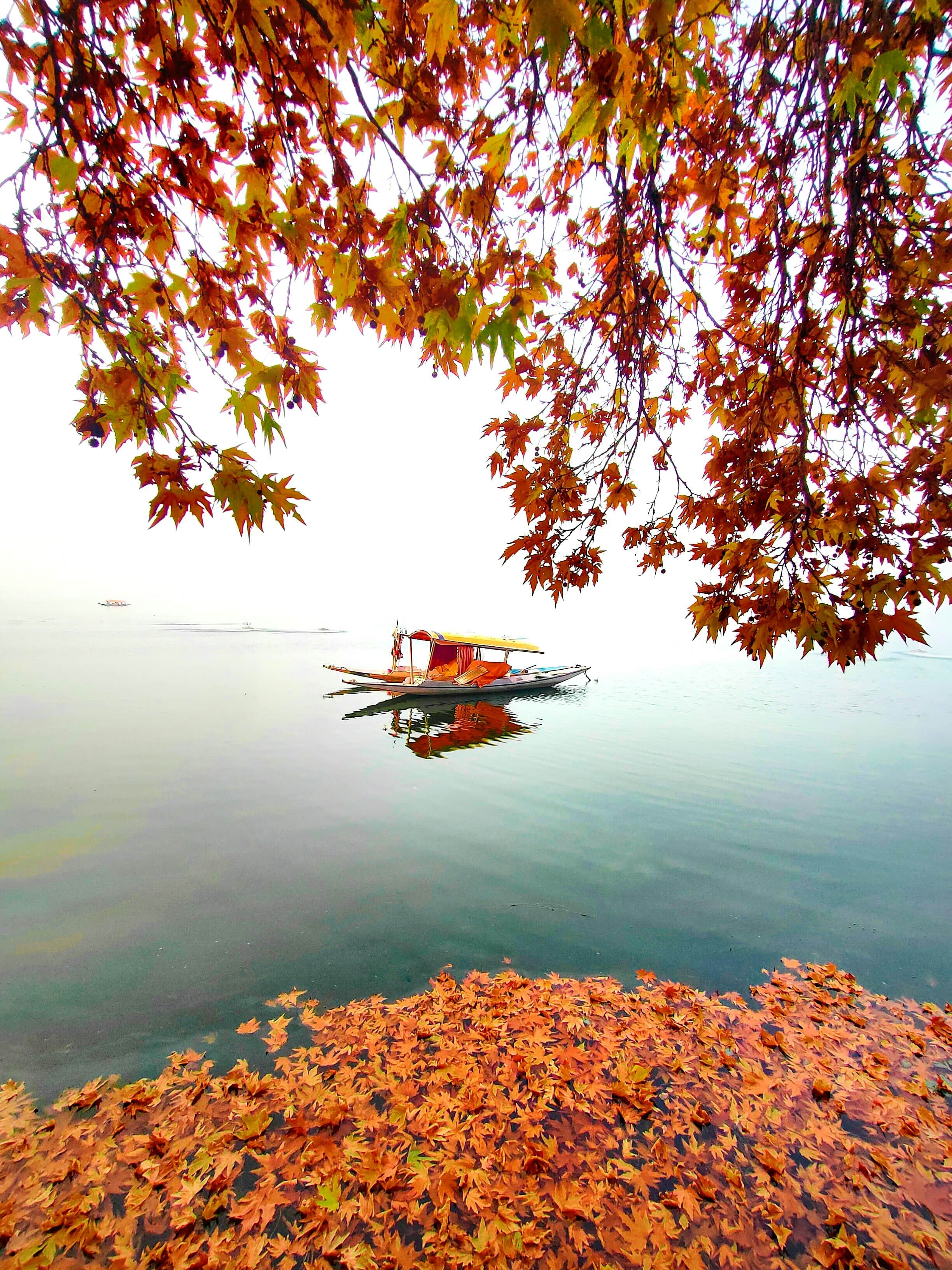 Srinagar – The Heart of Kashmir