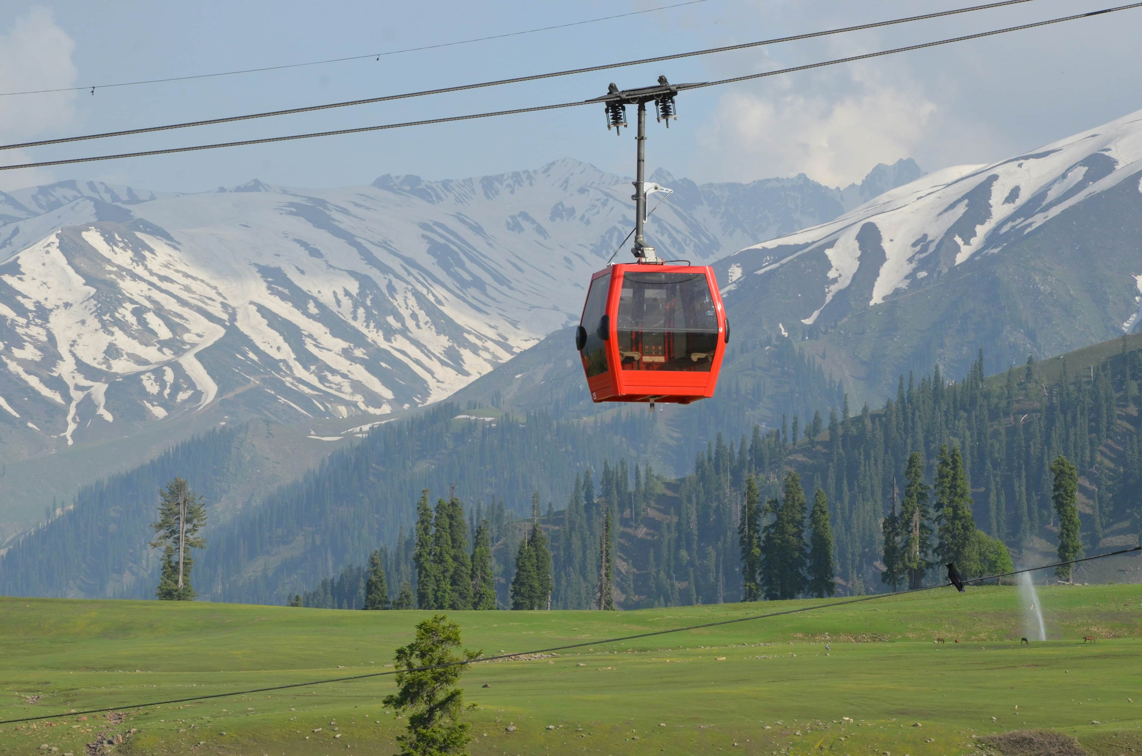 Gulmarg Gondola and Alpine Day
